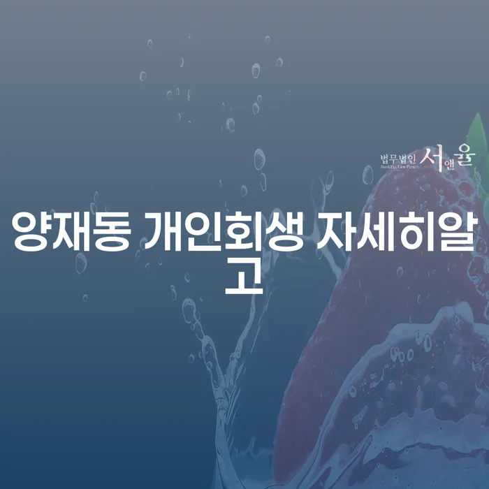 양재동 개인회생 자세히알고