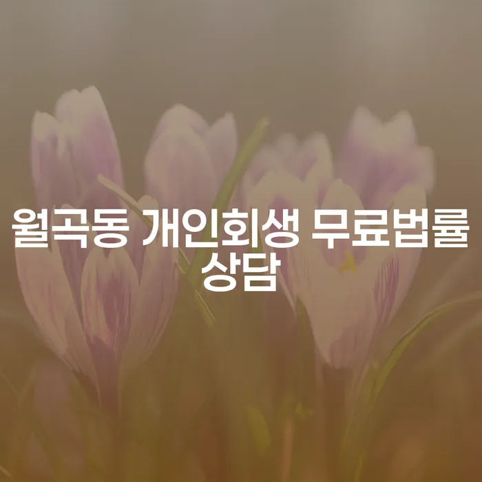 월곡동 개인회생 무료법률상담