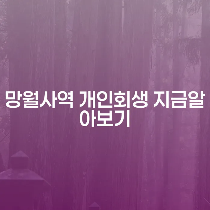 망월사역 개인회생 지금알아보기