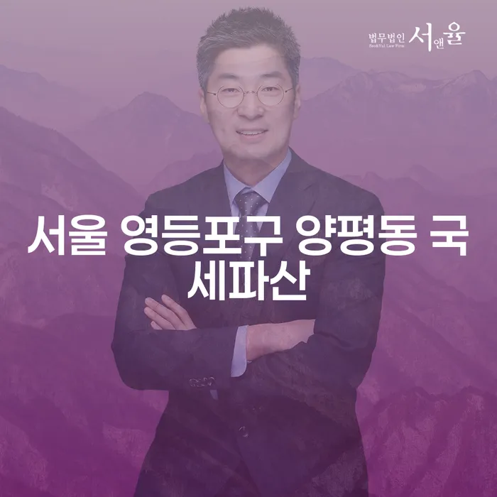 서울 영등포구 양평동 국세파산, 개인회생청산가치: 어떻게 시작해야 할까요?
