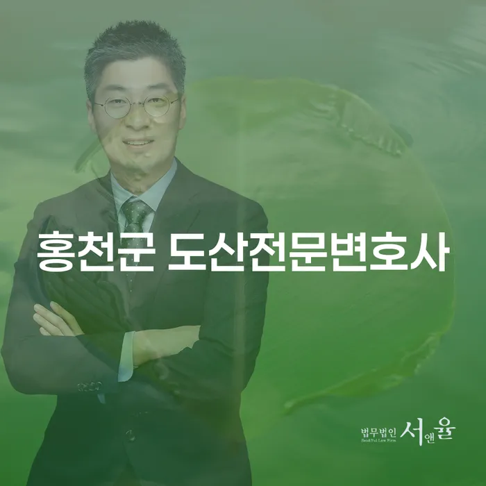 홍천군에서 채무 해결을 위한 도산전문변호사의 중요성과 청구이의소의 역할은?