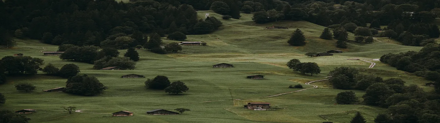 법무법인 서앤율